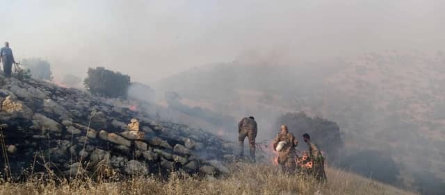تیمەکانی پۆلیسی دارستان و ژینگەی سلێمانی سەرقاڵی کۆنترۆڵکردنی ئاگری یەکێک لە دارستانەکانن