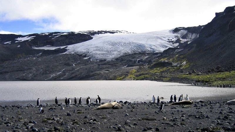 دۆناڵد ترەمپ پێناسی گومرگی بەسەر دوورگەیەکی بێ دانیشتوو دەسەپێنێت