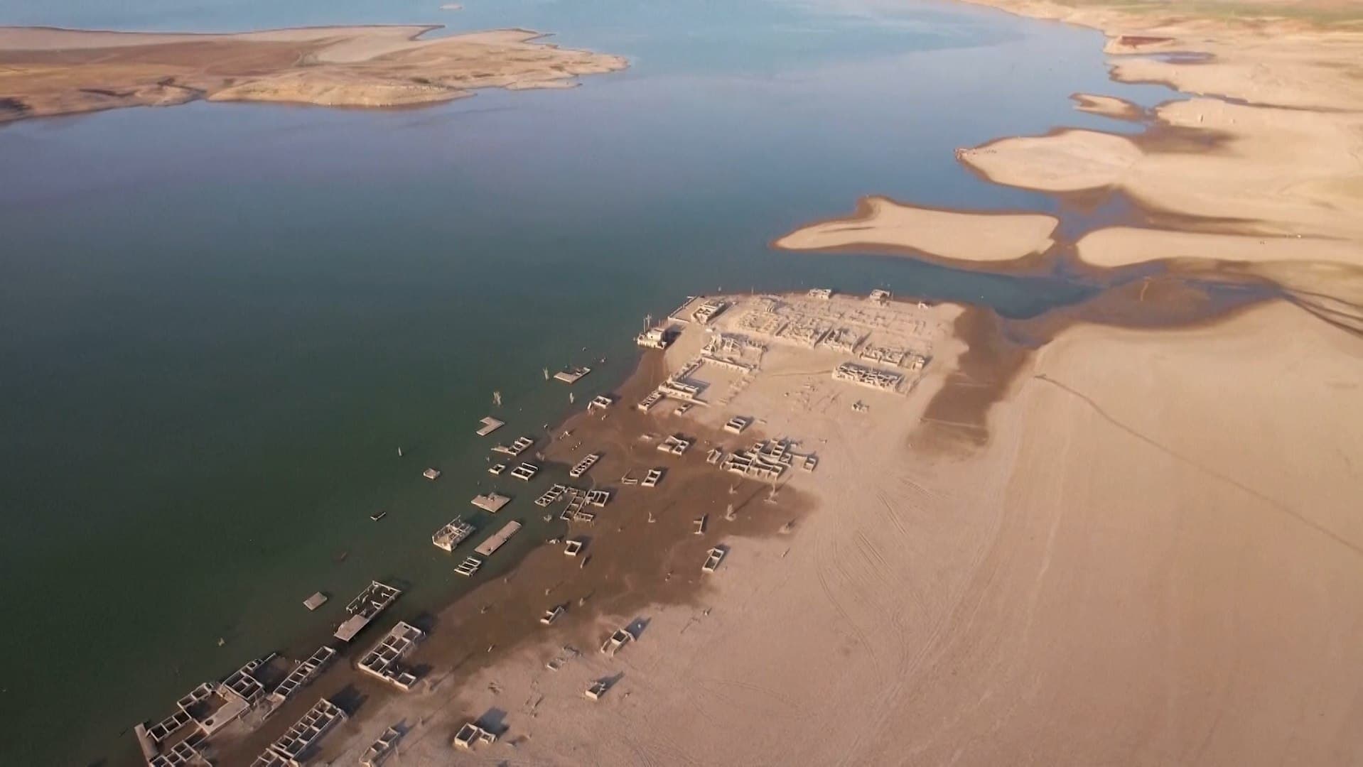 گوندێكی زوممار دوای 40 ساڵ دەردەكەوێتەوە