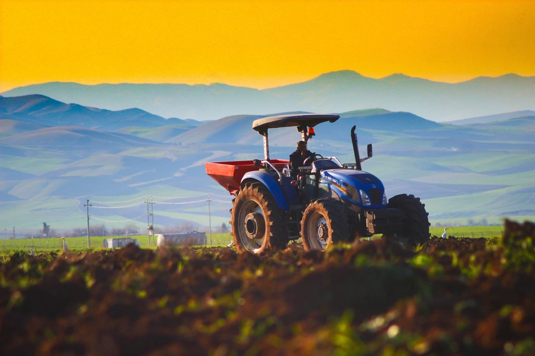 ئەمساڵ زیاتر لە سێ ملیۆن دۆنم زەوی بە گەنم دادەچێنرێت