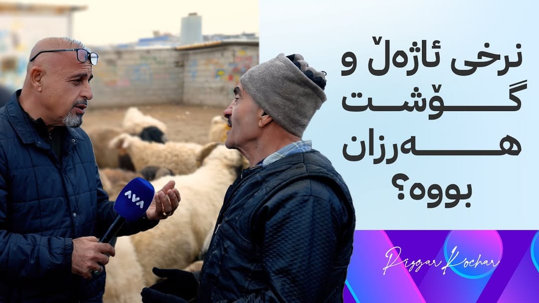 بە ڕزگار بڵێ؛ نرخی ئاژەڵ هەرزان بووە، بەڵام نرخی گۆشت گران دەبێت