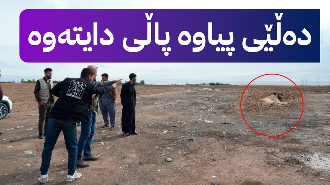 بە ڕزگار بڵێ؛ سەگ پەلاماری منداڵێک دەدات و بەهۆیەوە گیان لەدەست دەدات