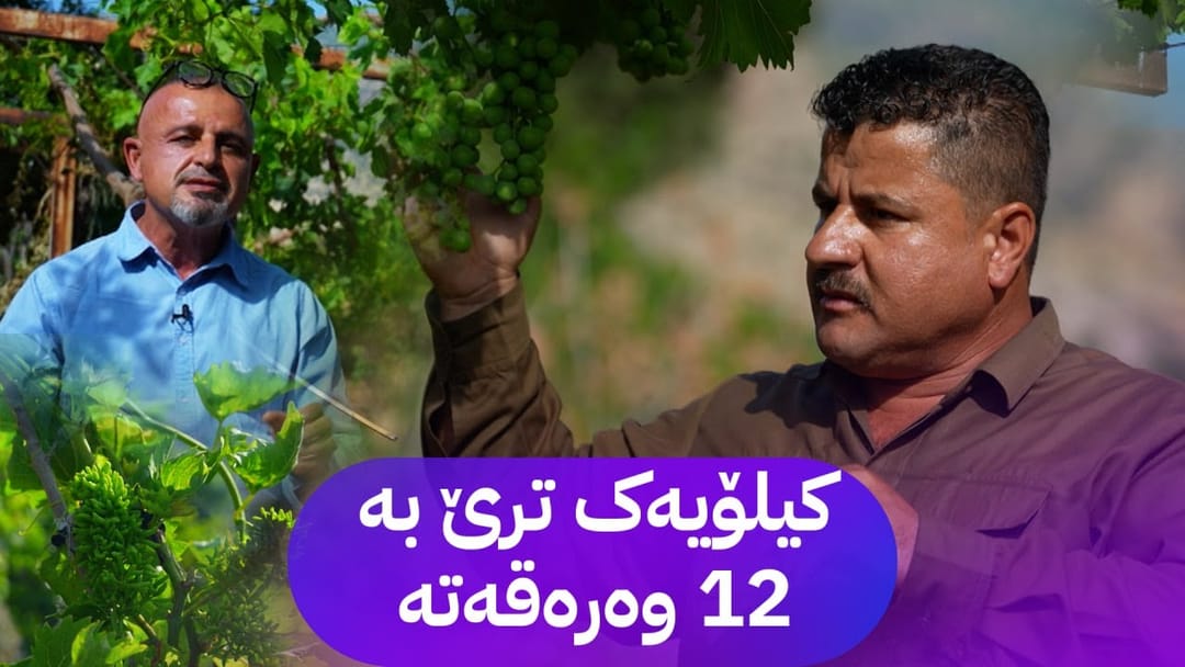 بە ڕزگار بڵێ؛ جووتیارێکی کورد بە پڕۆژەیەک پەرە بە بەرزکردنەوەی ئاستی بەرهەمی خۆماڵی دەدات