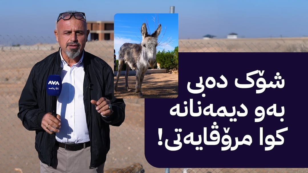 بە ڕزگار بڵێ؛ چی ڕوودەدات لەم شەڵتەرەی ئاژەڵان خۆتان بیبینن