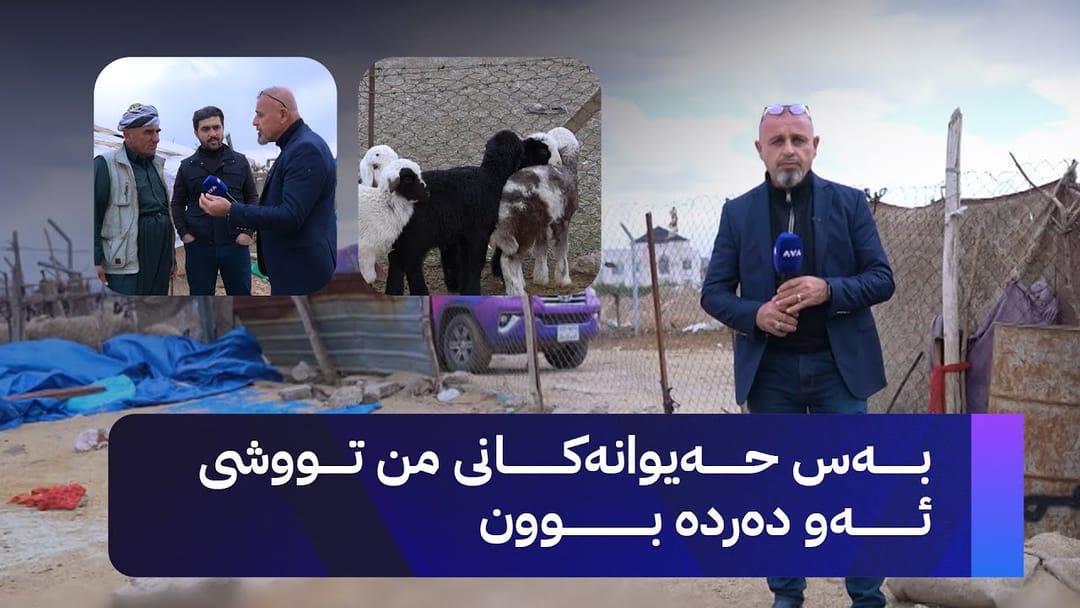 بە ڕزگار بڵێ؛ نەخۆشیی مەترسیدار لەنێو ئاژەڵاندا بڵاوبووەتەوە