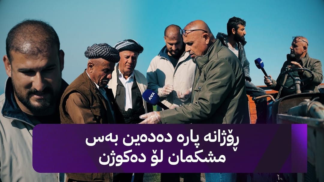 بە ڕزگار بڵێ؛ جرج و مشک بەرهەمی پەتاتەی گوندێک دەخۆن