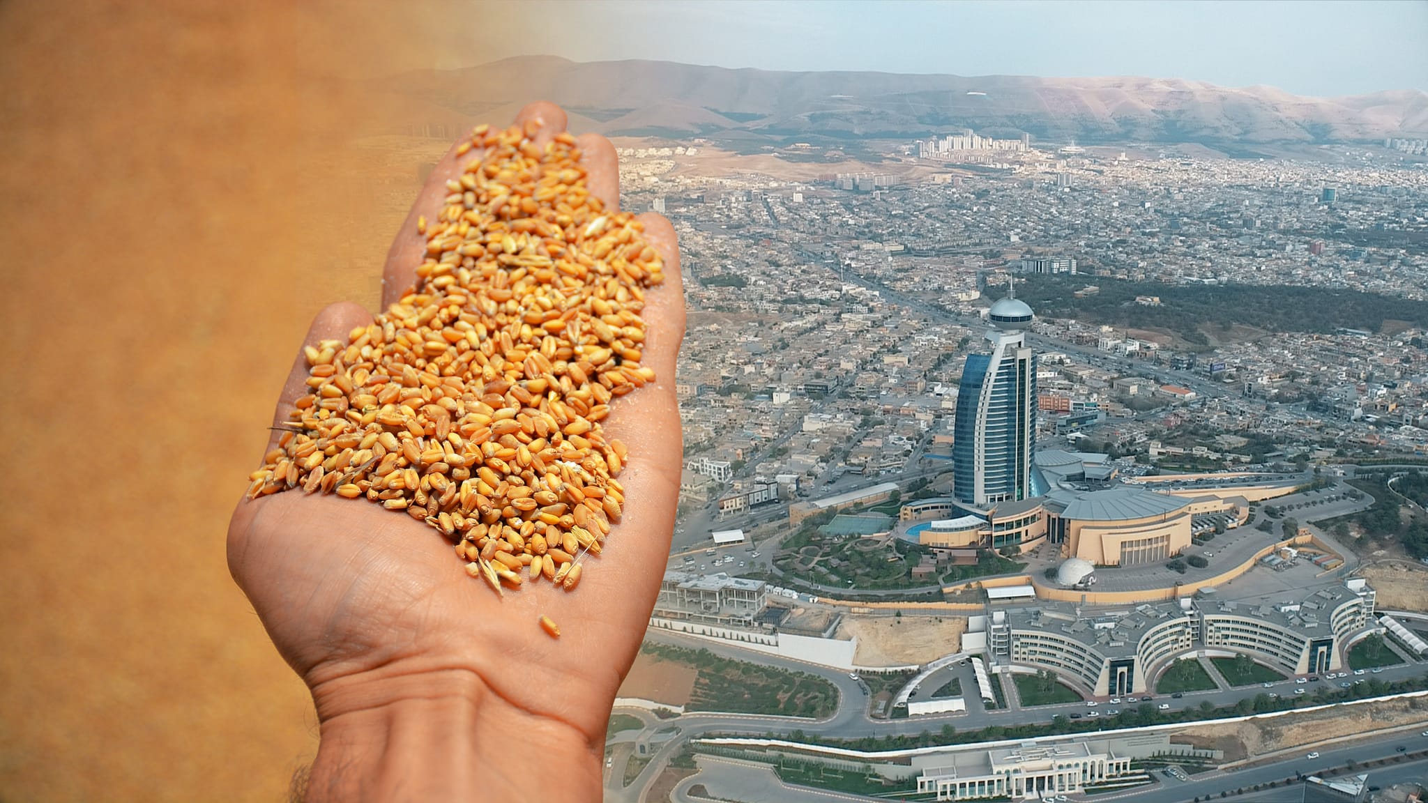 وەزیری کشتوکاڵی عێراق: لە دەروازەکانی سلێمانی گەنم بە قاچاخ هاوردە دەکرێت