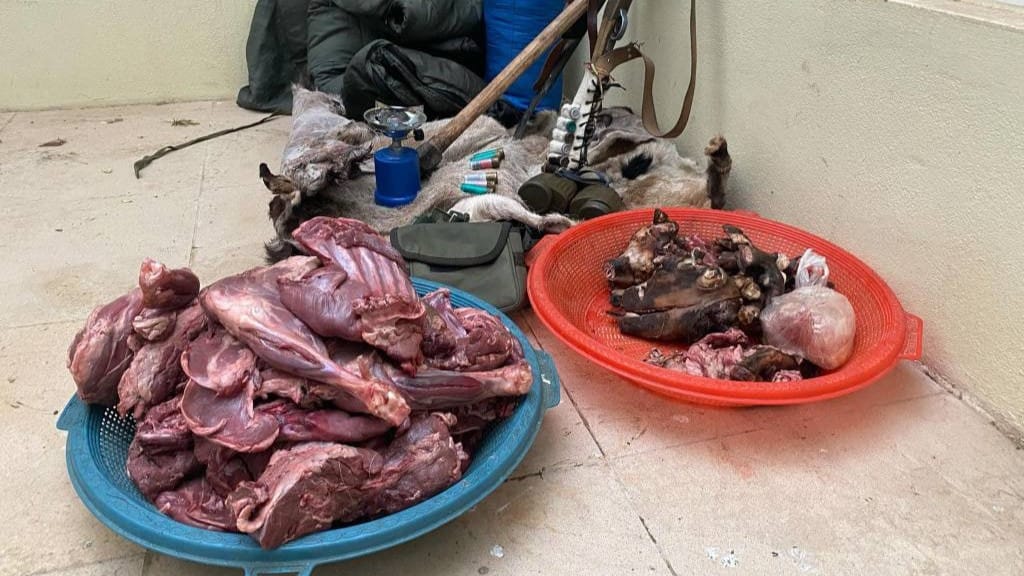 بە تۆمەتی ڕاوکردنی دوو کاری کێوی چوار کەس دەستگیر دەکرێن