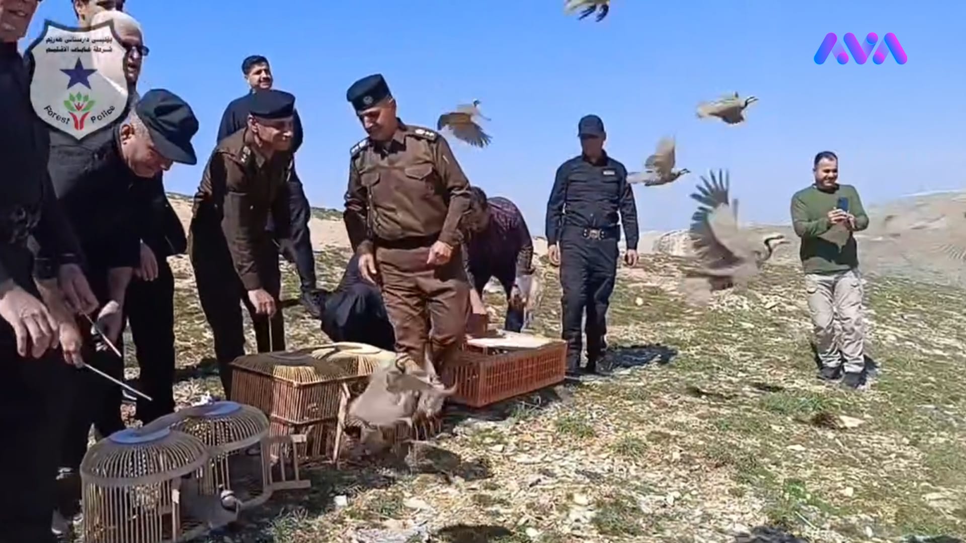 دەیان کەو بۆ یادی هەڵەبجە ئازاد دەکرێن