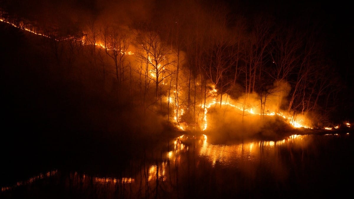 ئاگری دارستانەکانی کۆریای باشوور تا ئێستا کۆنتڕۆڵ نەکراوە