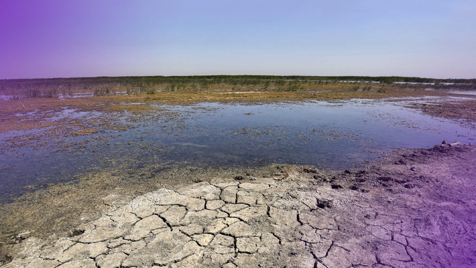 د.ڕێبەر تەحسین: هەرێمی کوردستان ڕووبەڕووی وشکەساڵی شوێنی بووەتەوە