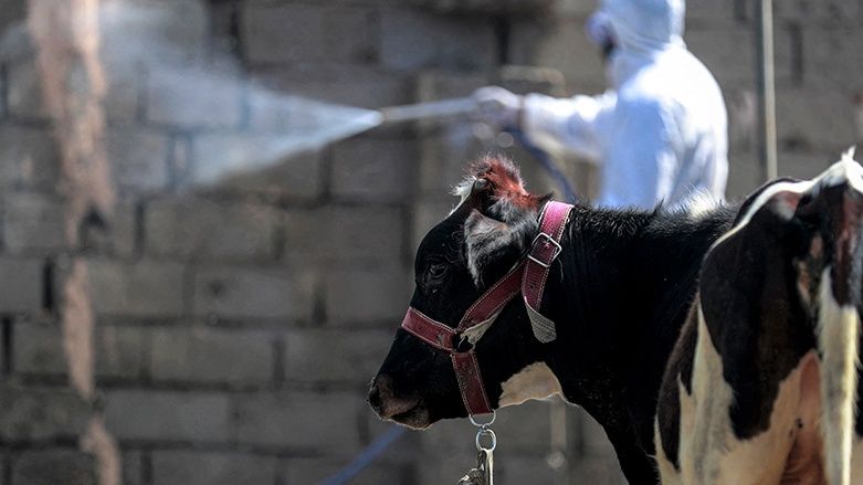 یەکەم تووشبووی تای خوێنبەربوون لە واست ڕادەگەیێنرێت