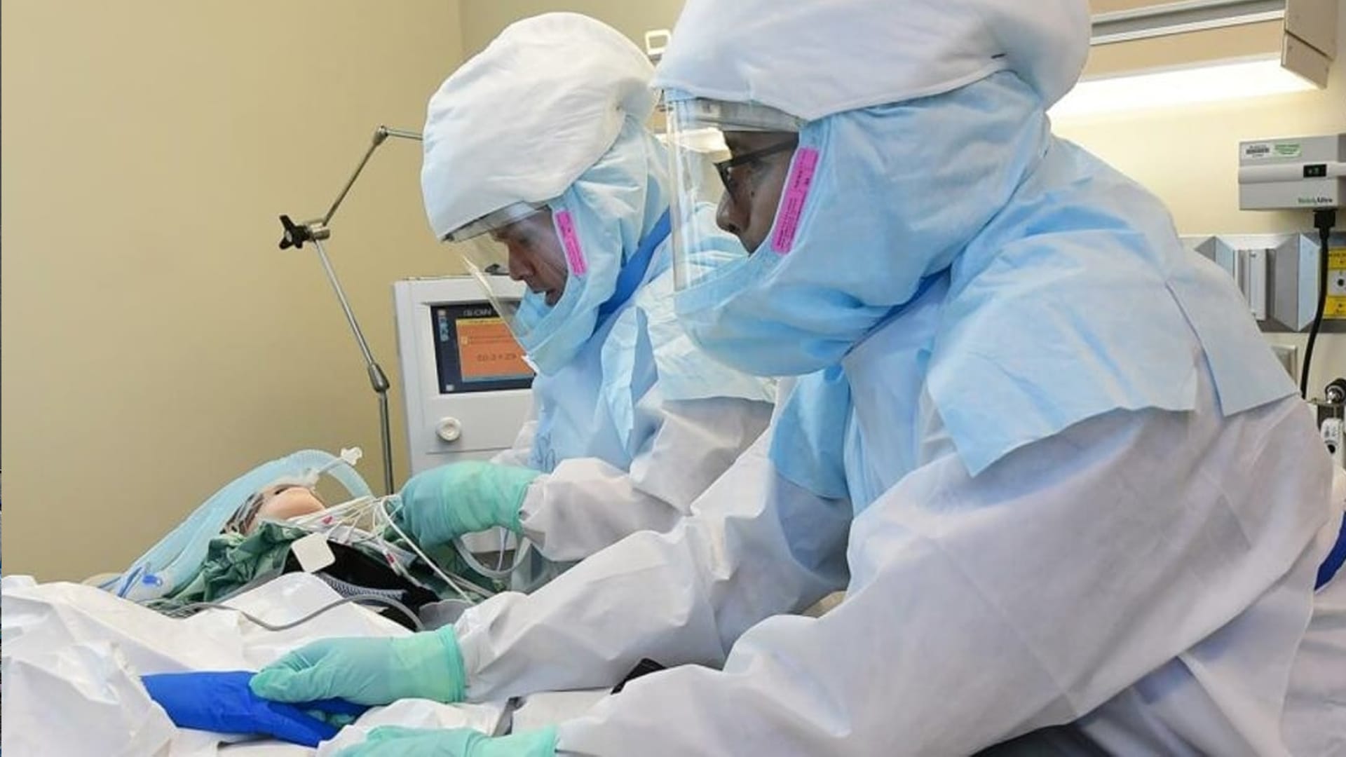 لە زیقاڕ یەکەم حاڵەتی گیانلەدەستان بە تای خوێنبەربوون تۆمار کرا