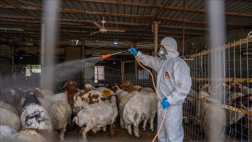 لە هەولێر حەوت کەس لەسەر تای خوێنبەربوون دراونەتە دادگا