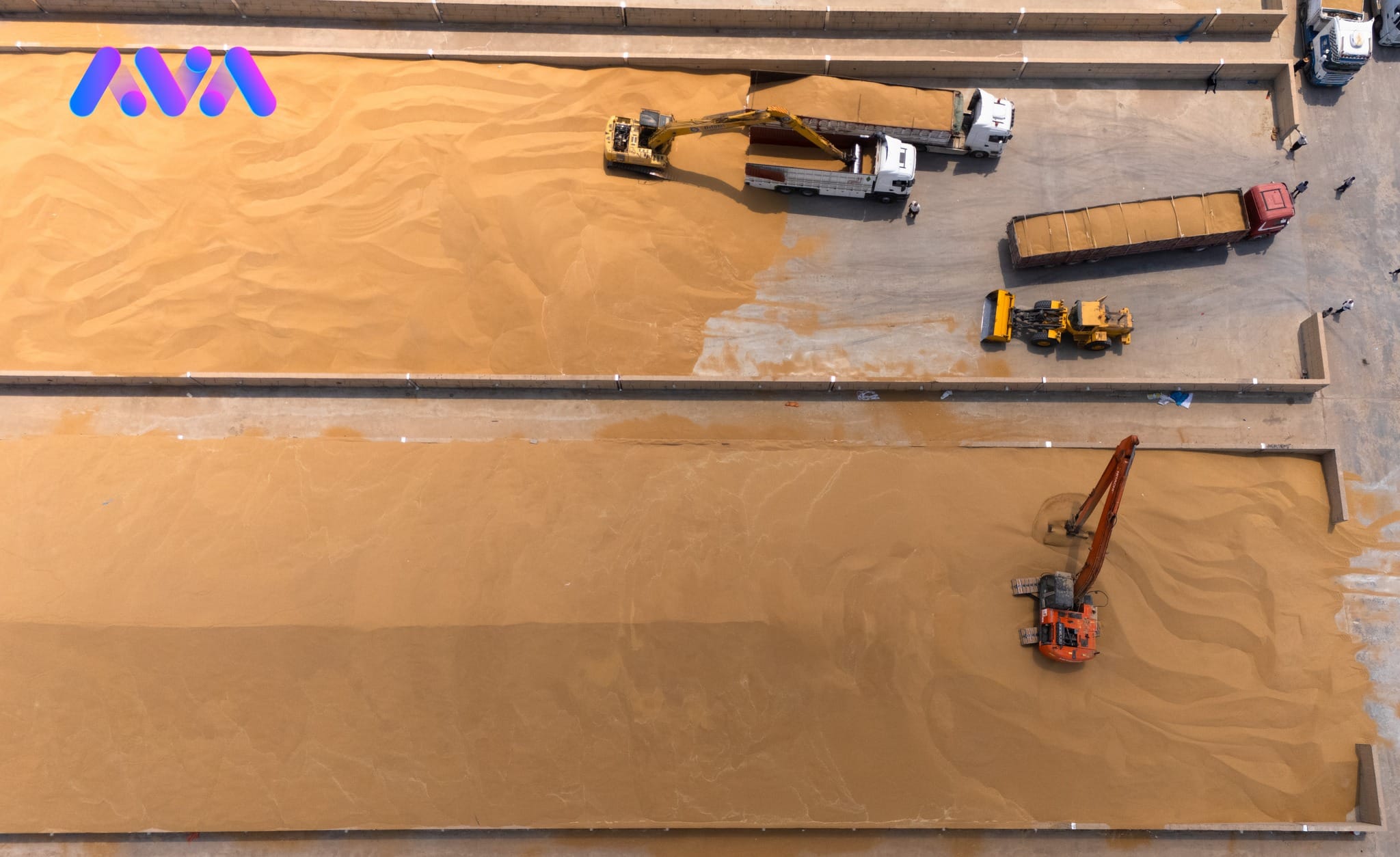 زیاتر لە 117 هەزار تۆن گەنمی جووتیارانی دهۆک وەردەگیرێت