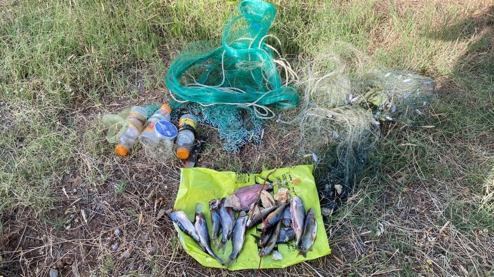 دوو کەس لە ماوەت بەتۆمەتی ڕاوکردنی ماسی دەستگیر دەکرێن