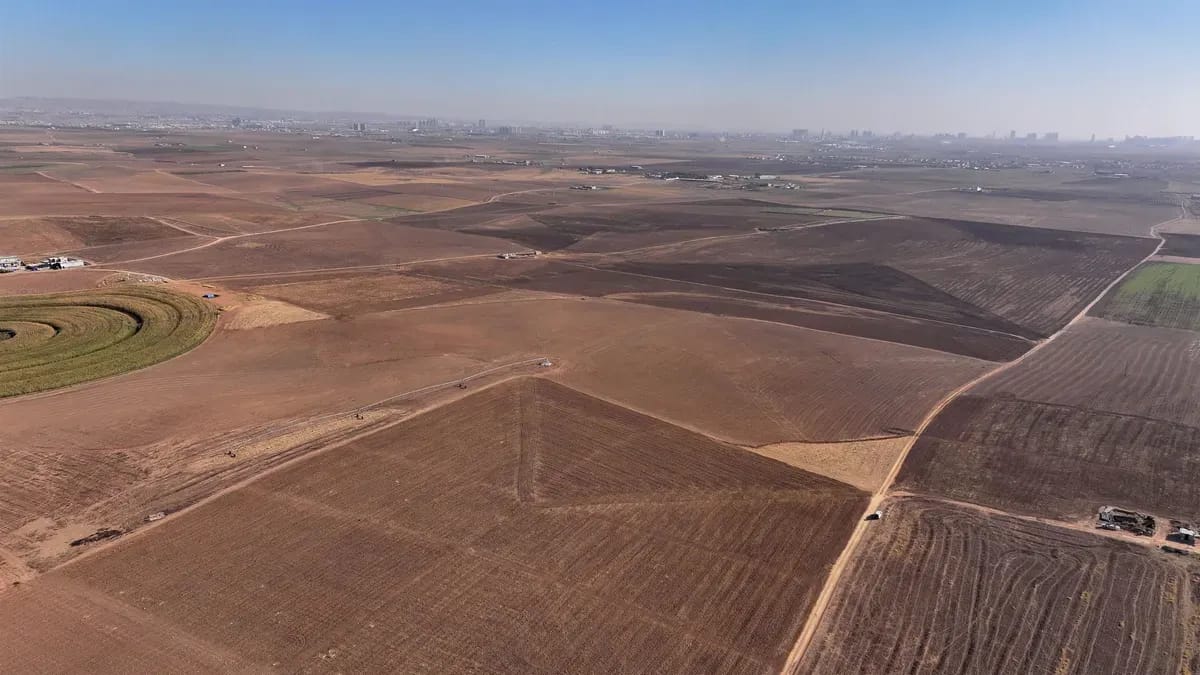 لە سلێمانی زیاتر لە پێنج هەزار پزیشک و کارمەندی تەندروستی زەوییان پێدەدرێت