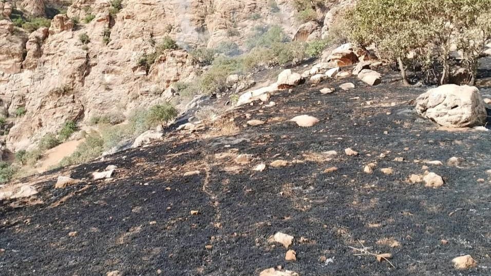 لە سنووری پارێزگای سلێمانی زیاتر لە دوو هەزار دۆنم زەوی سووتا