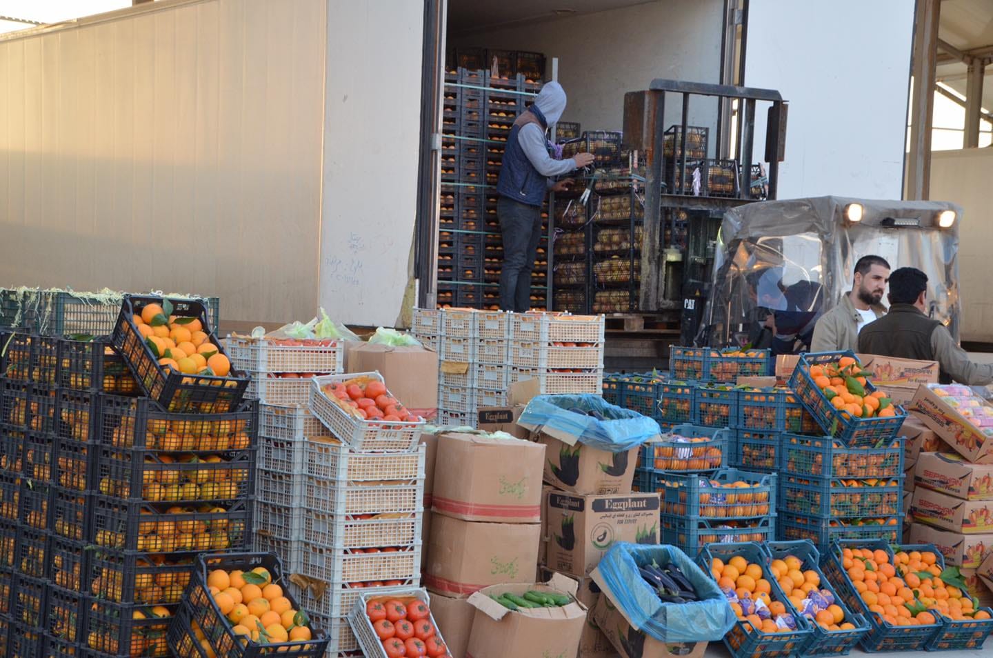 نزیکەی 700 هەزار تۆن بەرووبوومی کشتوکاڵی لە هەولێرەوە ڕەوانەی عێراق دەکرێت