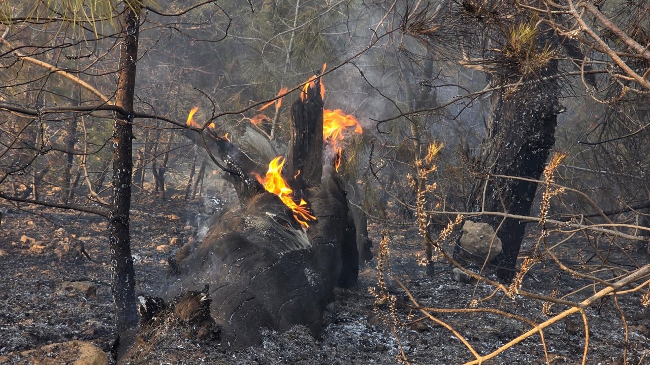 ئاگرێکی گەورە لە سنەوبەرەکانی زاویتە کەوتووەتەوە