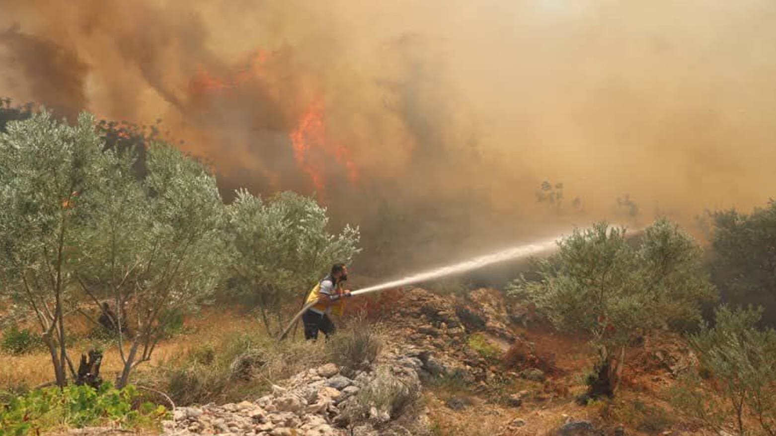 تورکیا بەشداری لە کوژاندنەوەی ئاگری لازقیە دەکات
