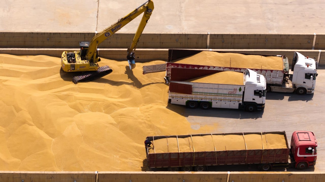 گەنمی ماوەی جووتیاران لە ماوەی مانگێك وەردەگیرێت