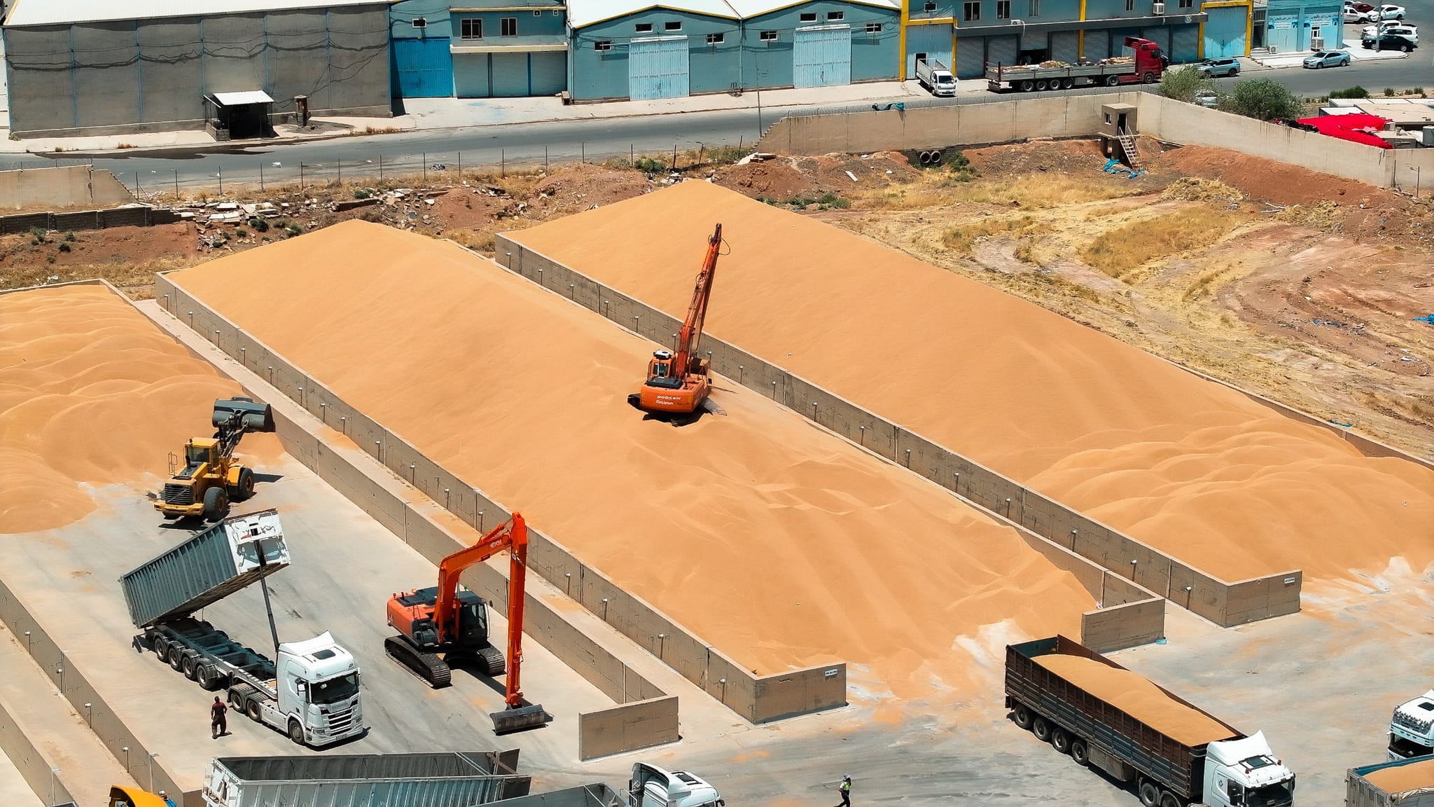 وەزارەتی بازرگانی عێراق بەنیازە پڕۆسەی بەبازاڕکردنی گەنمی جووتیارانی کوردستان کۆتایی پێبهێنێت