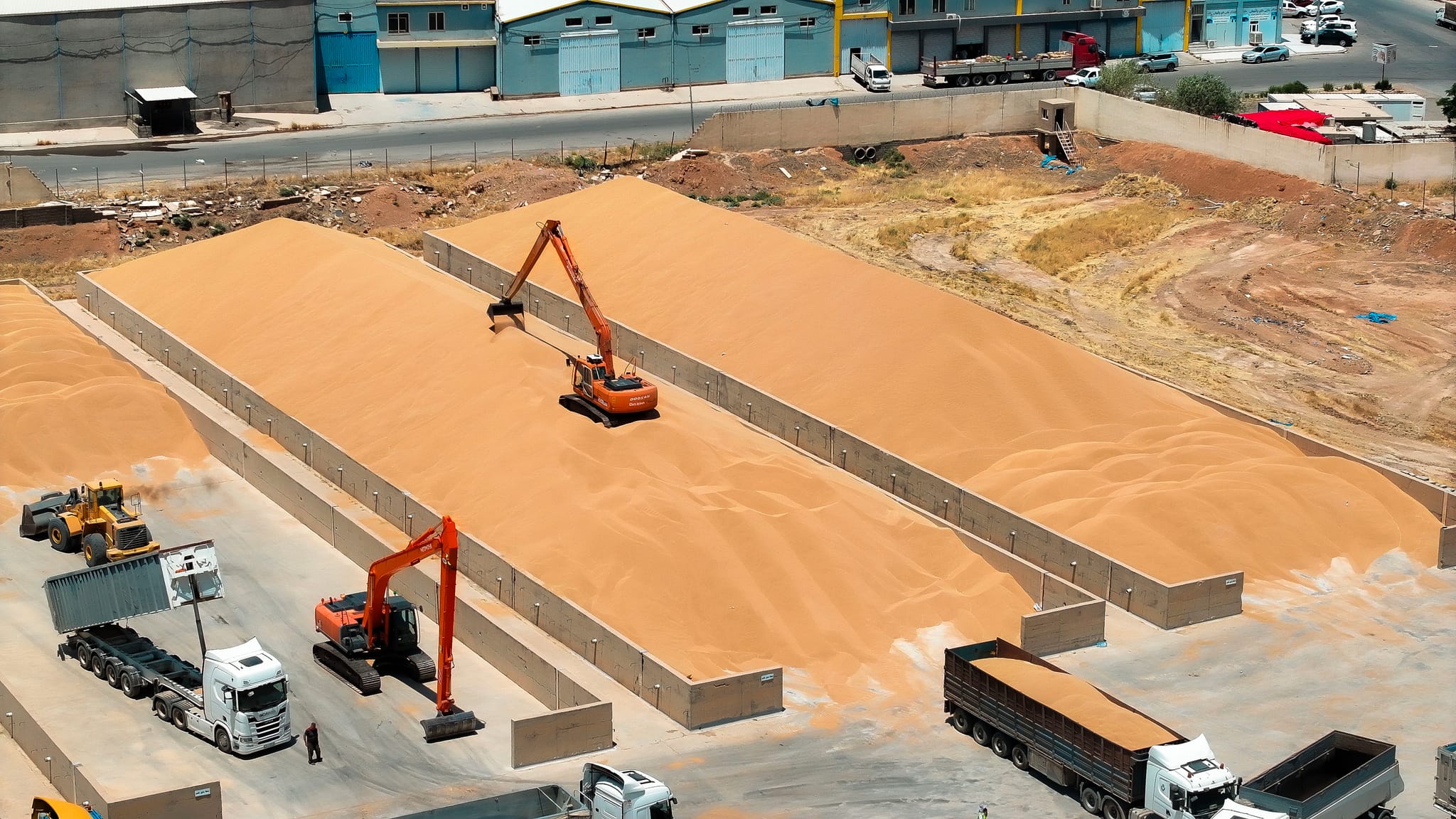 زیاتر لە 106 هەزار تۆن گەنم لە جووتیارانی دهۆک وەرگیراوە