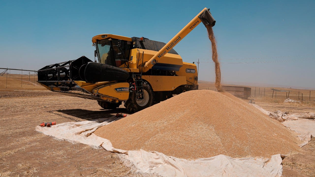 بەغدا دوایین وادە بۆ وەرگرتنی گەنمی جووتیارانی گوێڕ و دیبەگە دیاری دەکات