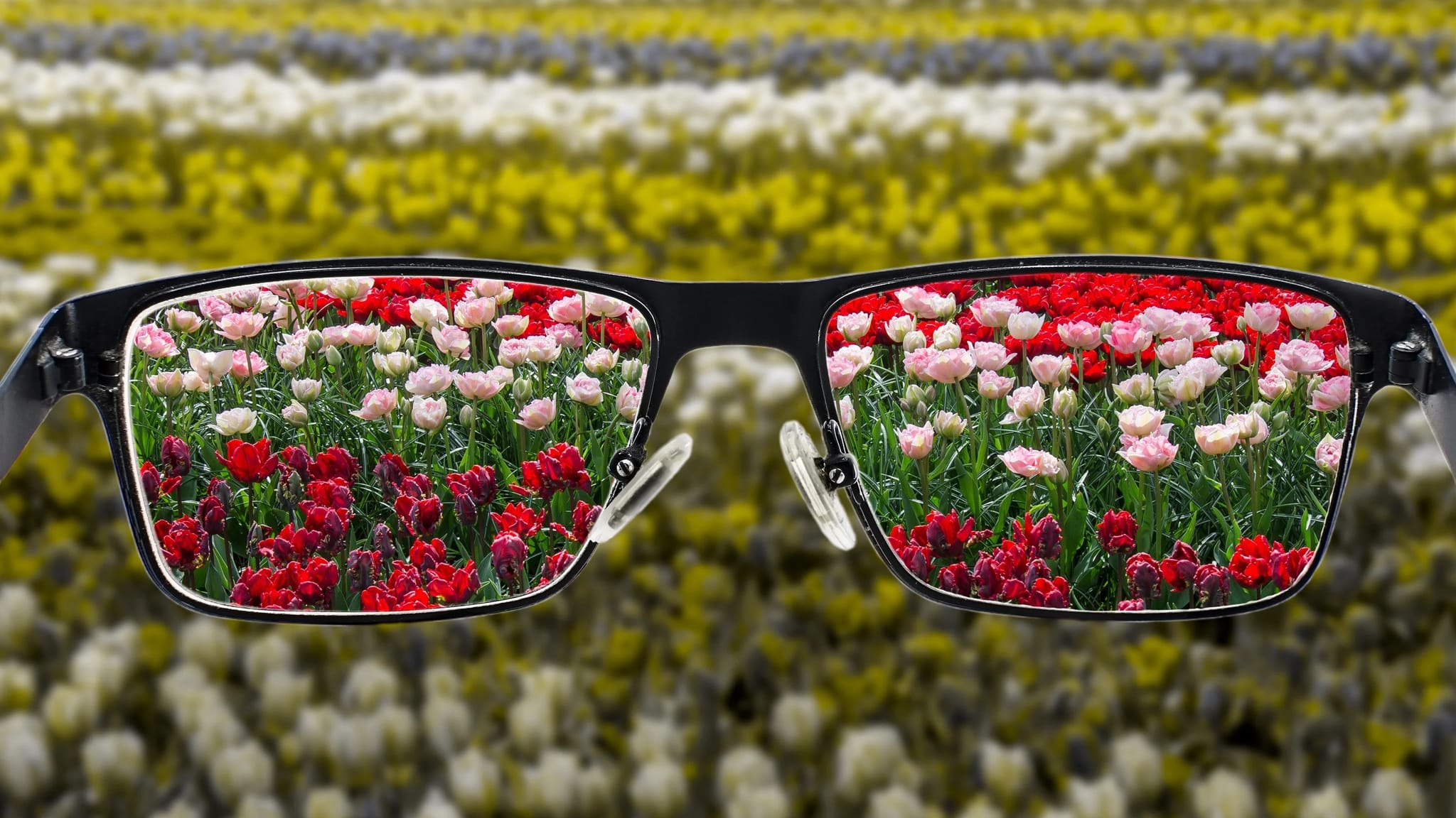 داهێنانێکی پزیشکی ژیانی تووشبووانی ڕەنگکوێری دەگۆڕێت