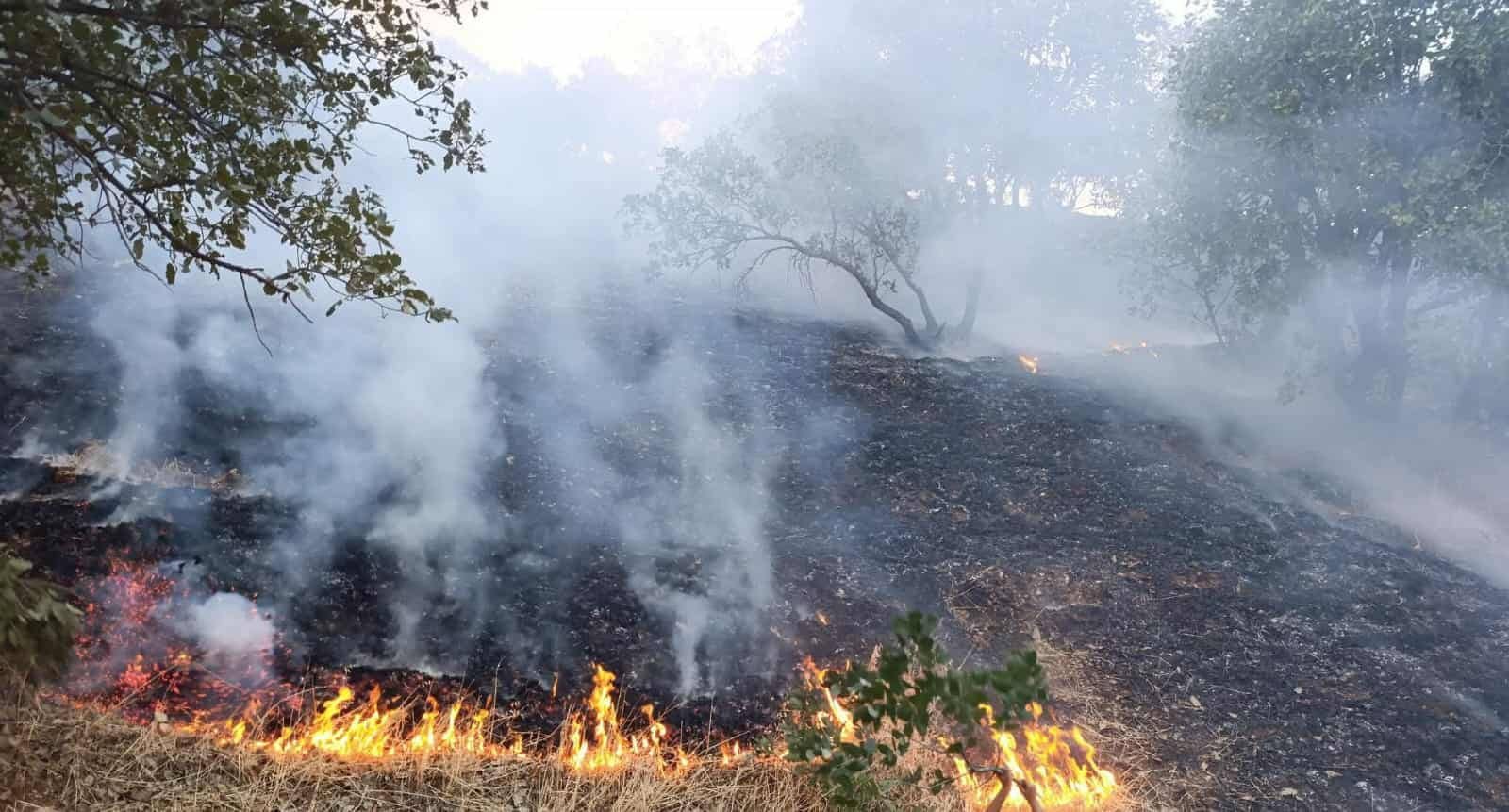 پێنج هەزار دۆنم پووش و پاوان و دارستان لە بەرزنجە سووتان