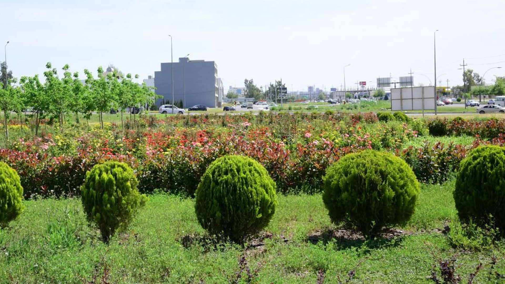 پشتێنەی سەوزایی هەولێر دەستپێدەکات