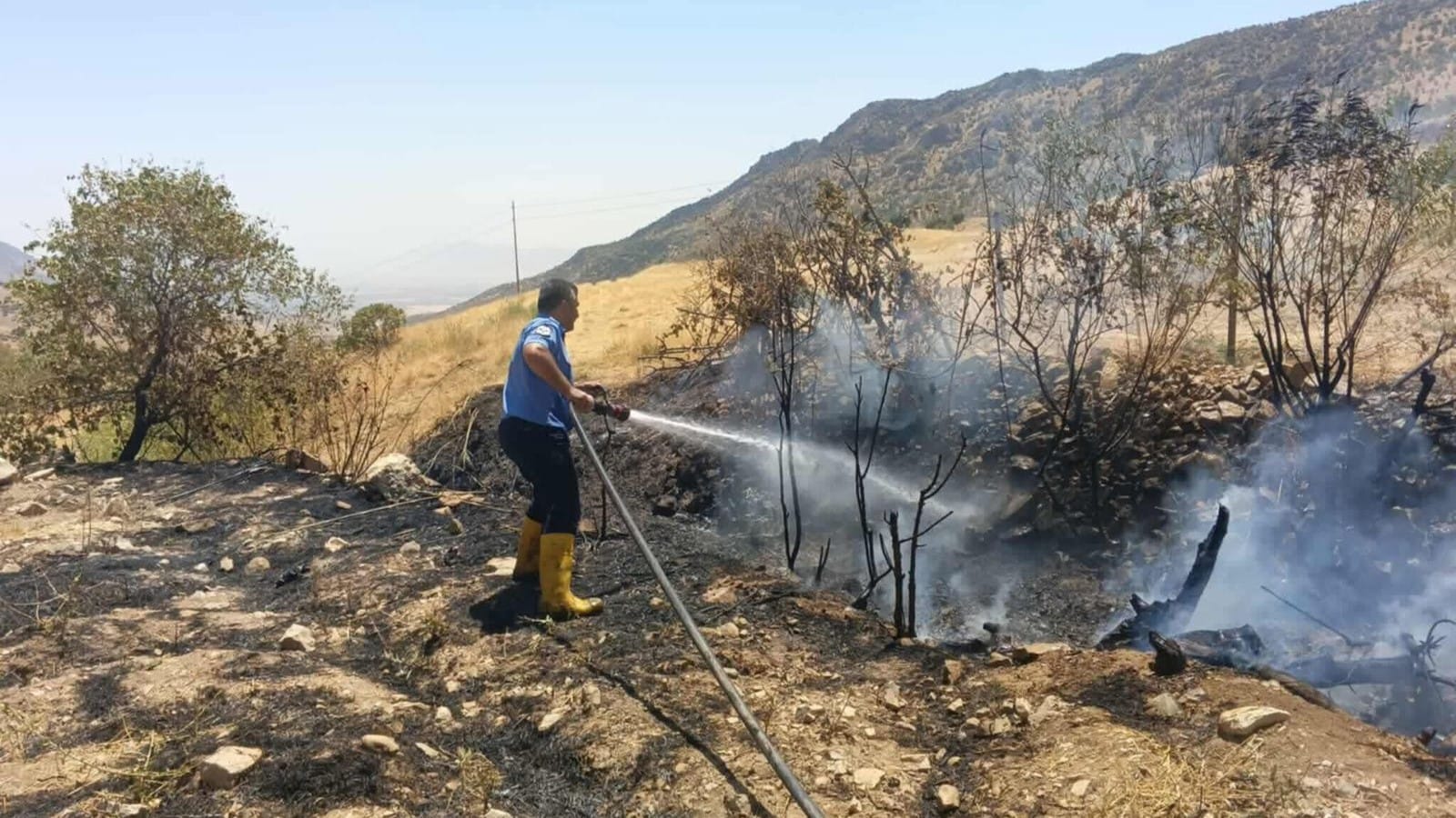 لە ماوەی دوو هەفتەدا لە بێتواتە زیاتر لە 900 دۆنم زەوی سووتاون