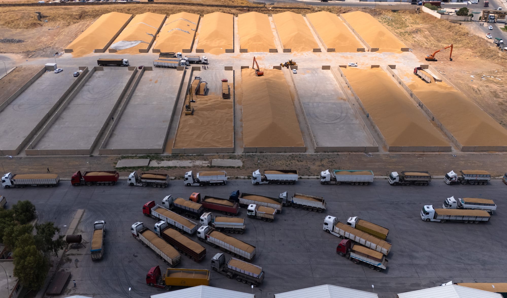 چارەنووسی پارەی گەنمی جووتیارانی کوردستان یەکلایی دەکرێتەوە