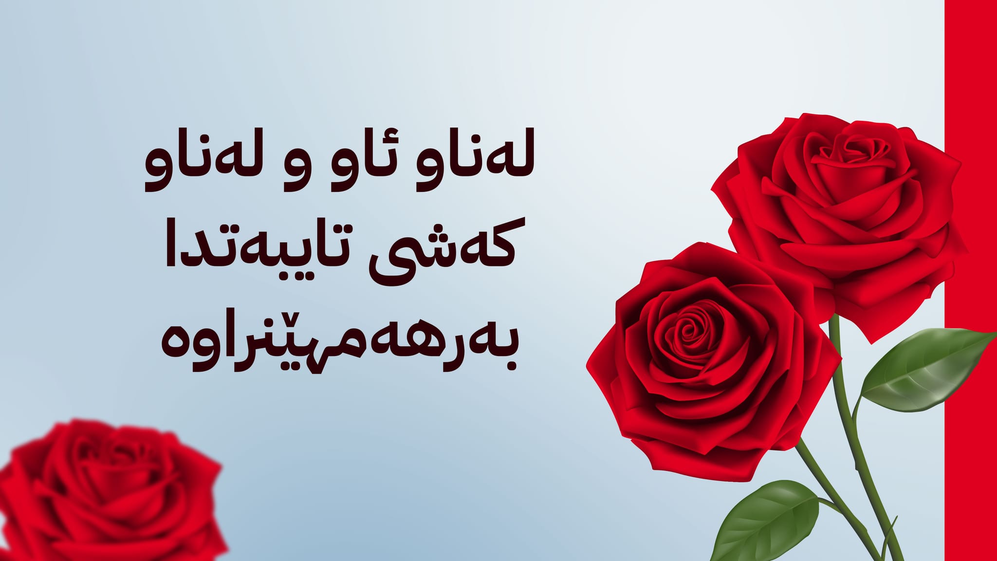 بۆ یەکەمجار گوڵی ڕۆز لە هەولێرەوە ڕەوانەی سعودیە دەکرێت