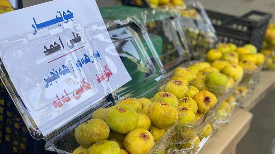 چوارەمین فێستیڤاڵی هەنجیر لە تەق تەق بەڕێوەدەچێت