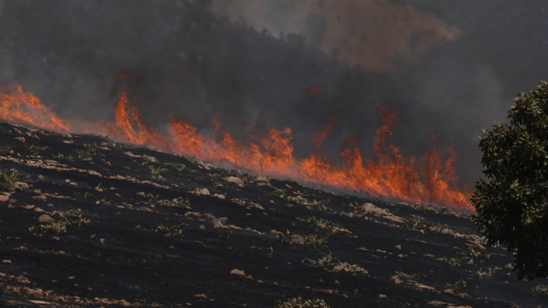 دوایین زانیاریی لەبارەی ئاگرەکەی هەڵەبجە