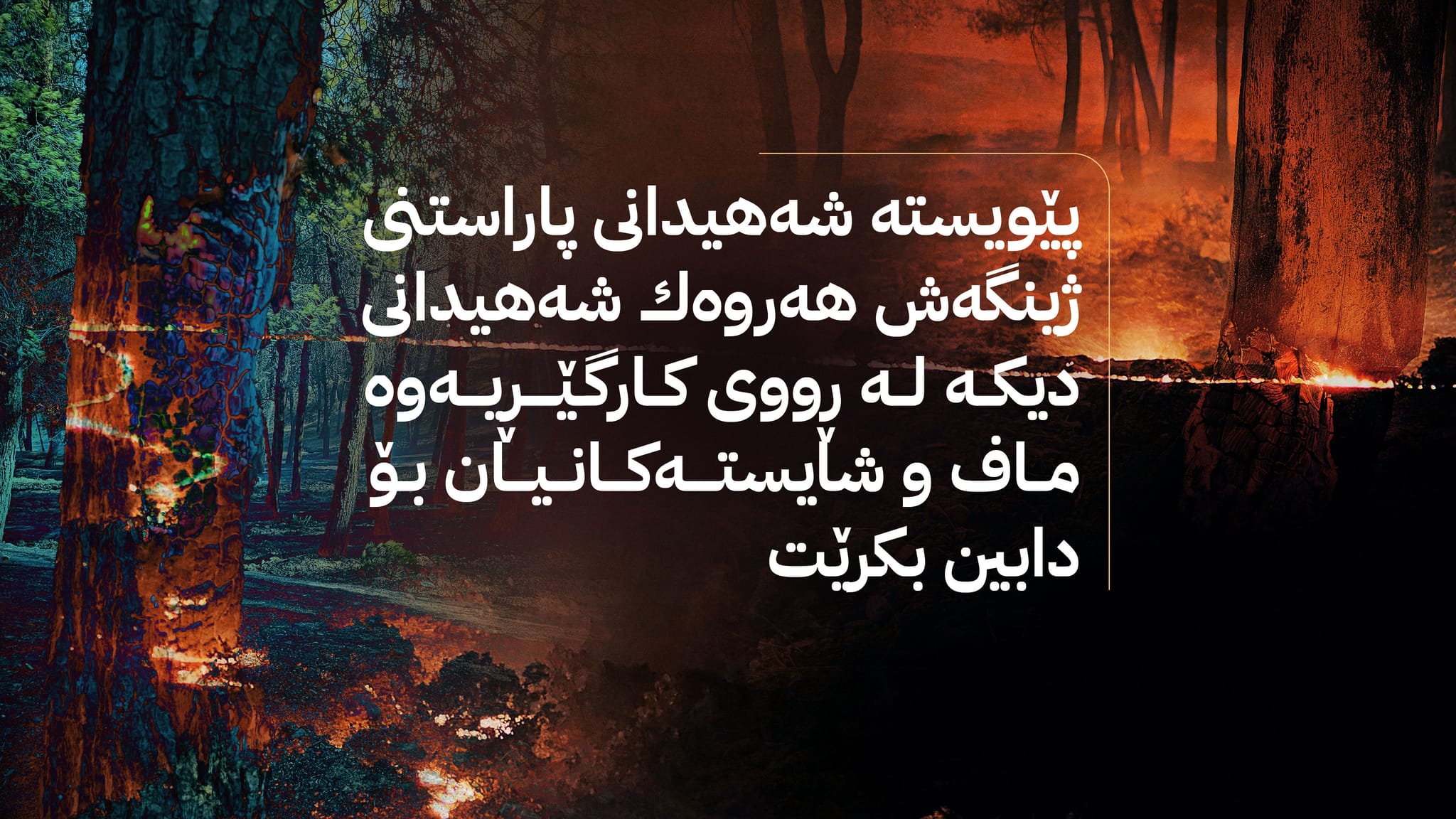 شەهیدانی پاراستنی ژینگەی وڵات؛ پێشنیازەكان لەپاش كارەساتی ئاگركەوتنەوەكەی هەڵەبجە