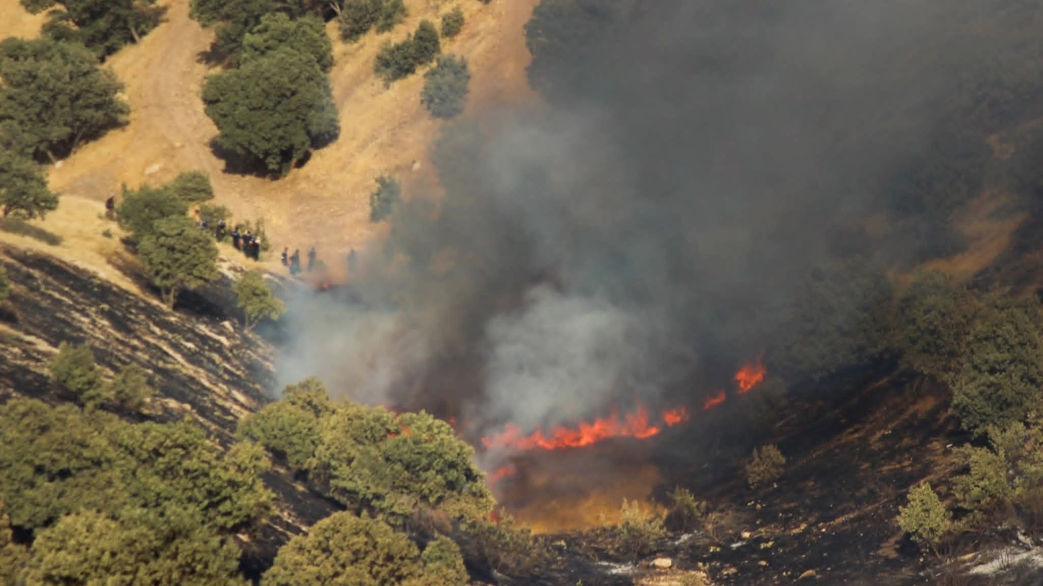 ئاگرەکەی هەڵەبجە سەدان هێکتار زەوی سووتاندووە