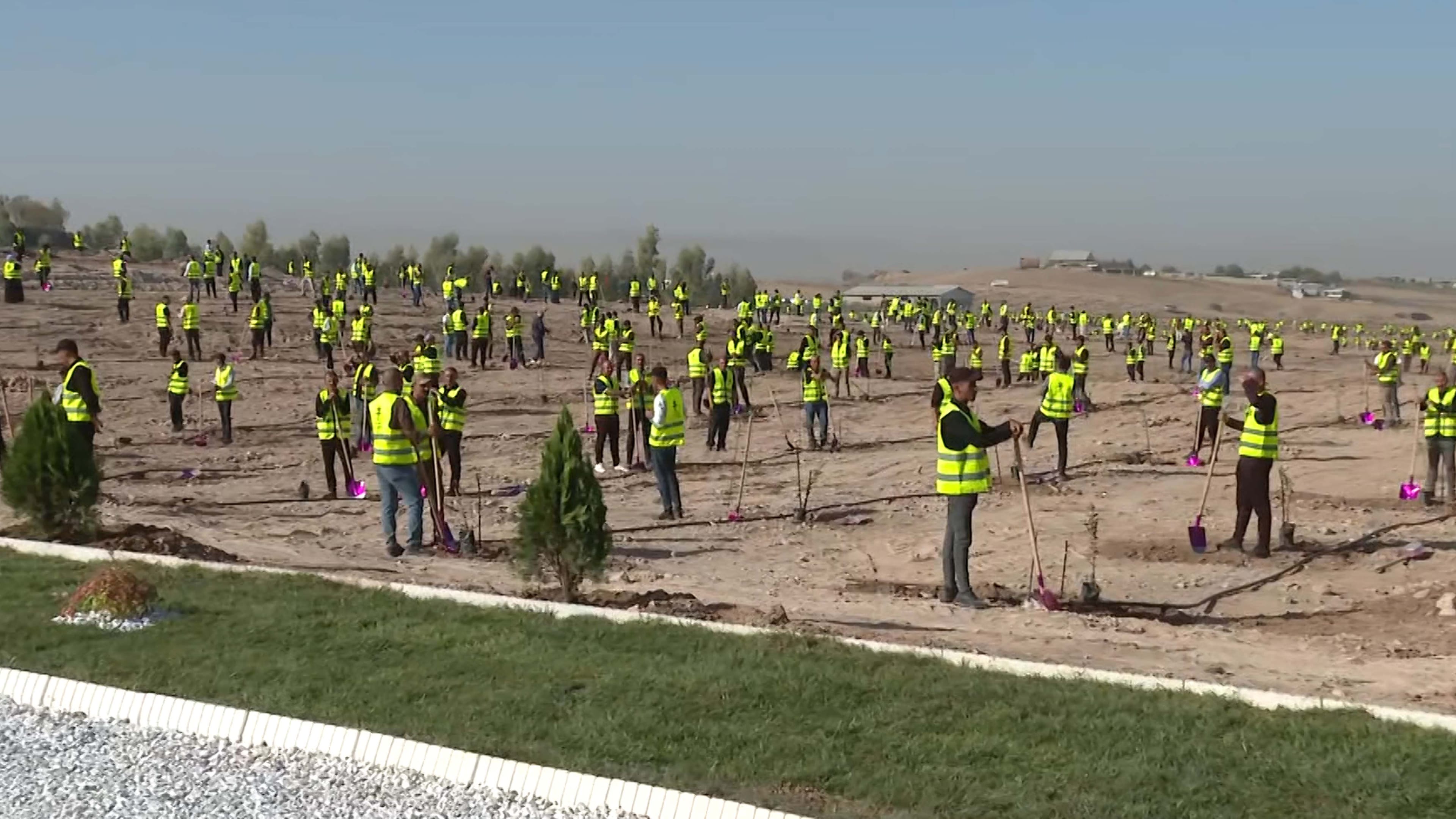 مەسرور بارزانی یەکەم دار لە پرۆژەی پشتێنەی سەوزایی هەولێر دەچێنێت