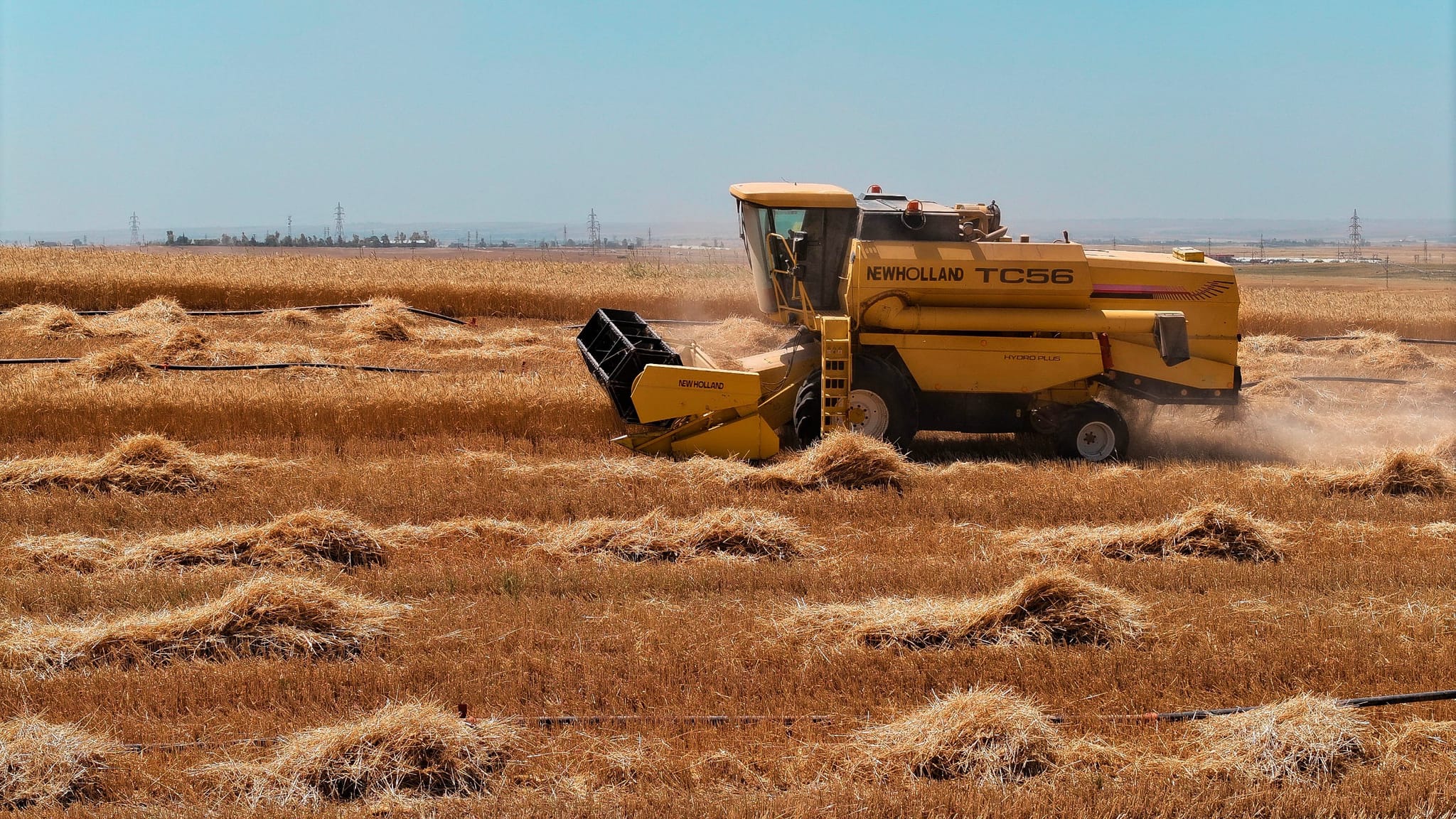 عێراق لە هەناردەكردنی گەنم بۆ ئێران دوو دڵە؛ لەبەر دوو هۆکارە