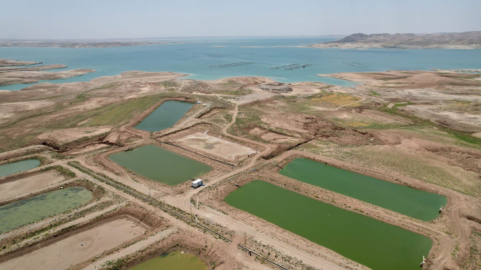 سەدان حەوزی ماسی پڕ دەکرێنەوە: بەشێکیان بە زیادەڕەوی دروست کراون