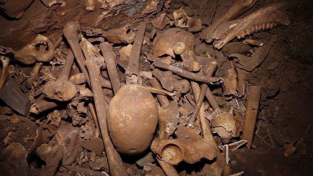 گۆڕێکی بە کۆمەڵ لە دەڤەری برادۆست دەدۆرێتەوە