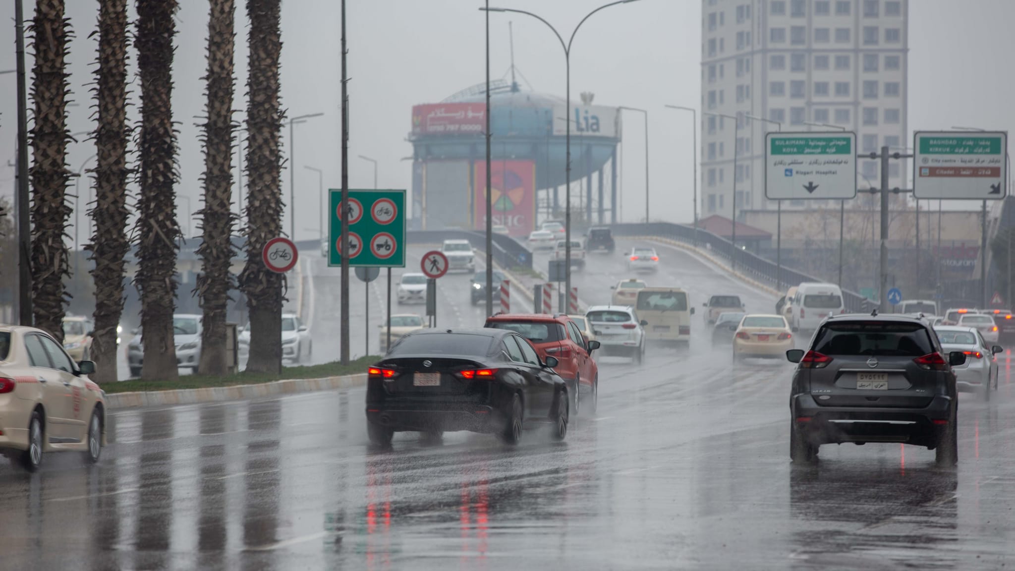 شێخ دارا: سبەی شەپۆلی باران بارین دەست پێ دەکات