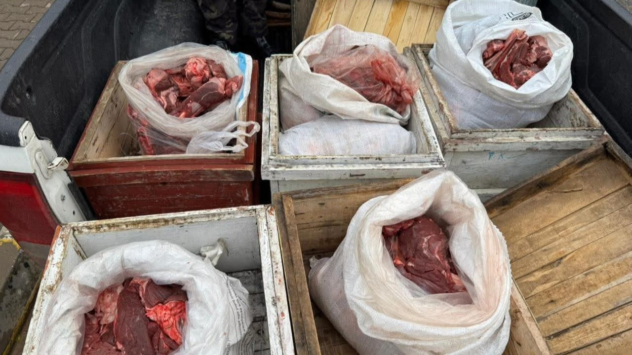 لە زاخۆ کەسێک سێ بزنە کێوی دەکوژێت و دەستگیر دەکرێت