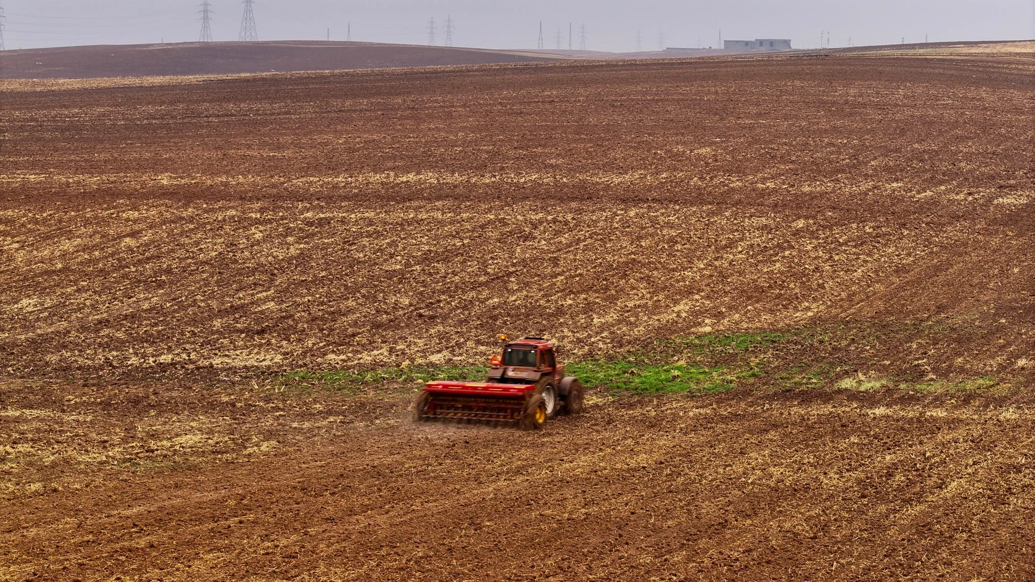 نزیکەی سێ ملیۆن دۆنم زەوی لە هەرێمی کوردستان بە گەنم دادەچێنرێت