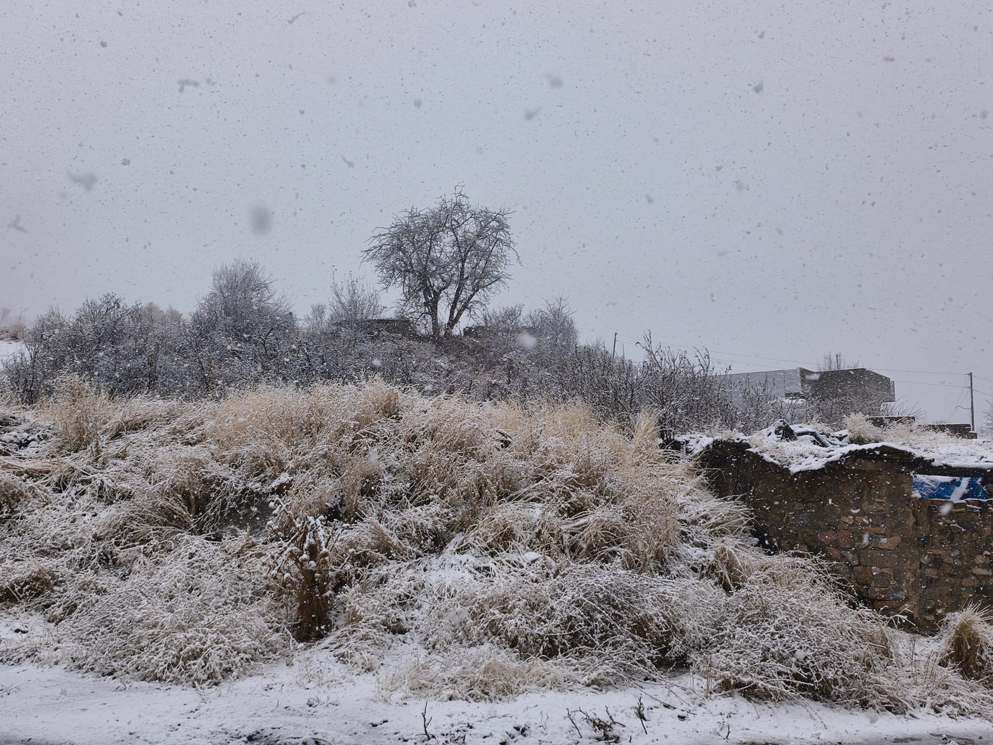 شەپۆلێکی دیکەی بەفر و باران بەڕێوەیە؛ بەفر لە سەنتەری پارێزگای دهۆک و سلێمانی دەبارێت