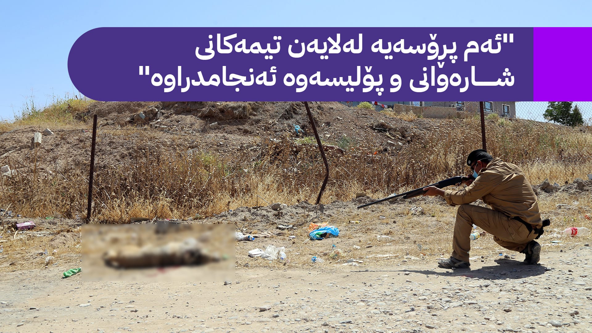 کوشتنی هەڕەمەکیانەی سەگە بێلانەکان لە عێراق ناڕەزایەتی لێدەکەوێتەوە