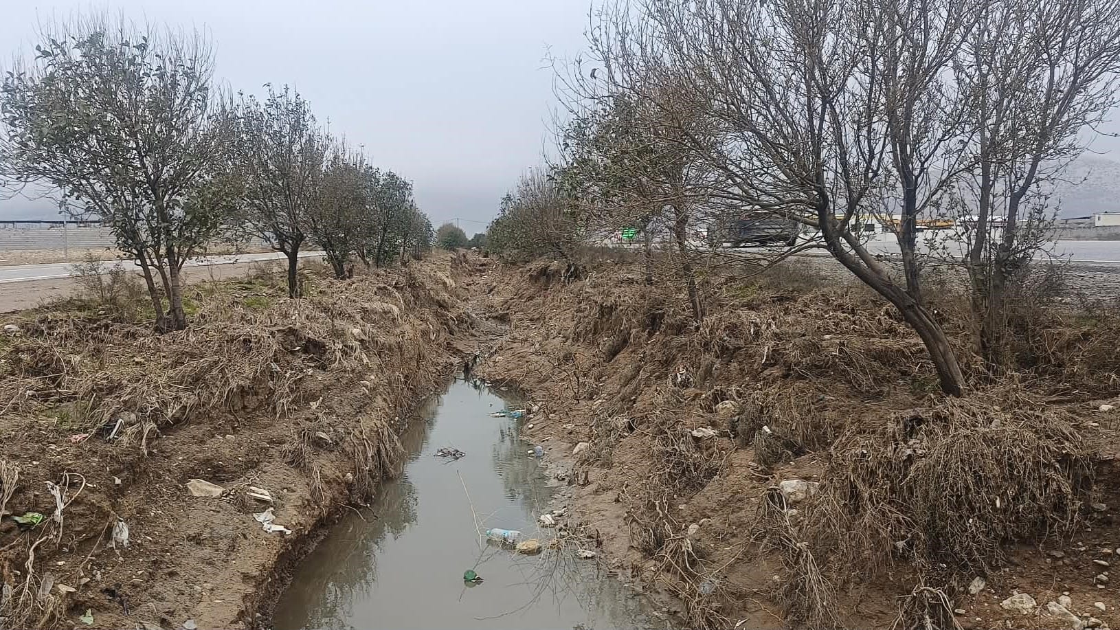 لافاوەکەی سنووری چەمچەماڵ دەیان درەختی بەتەمەنی لەناو برد