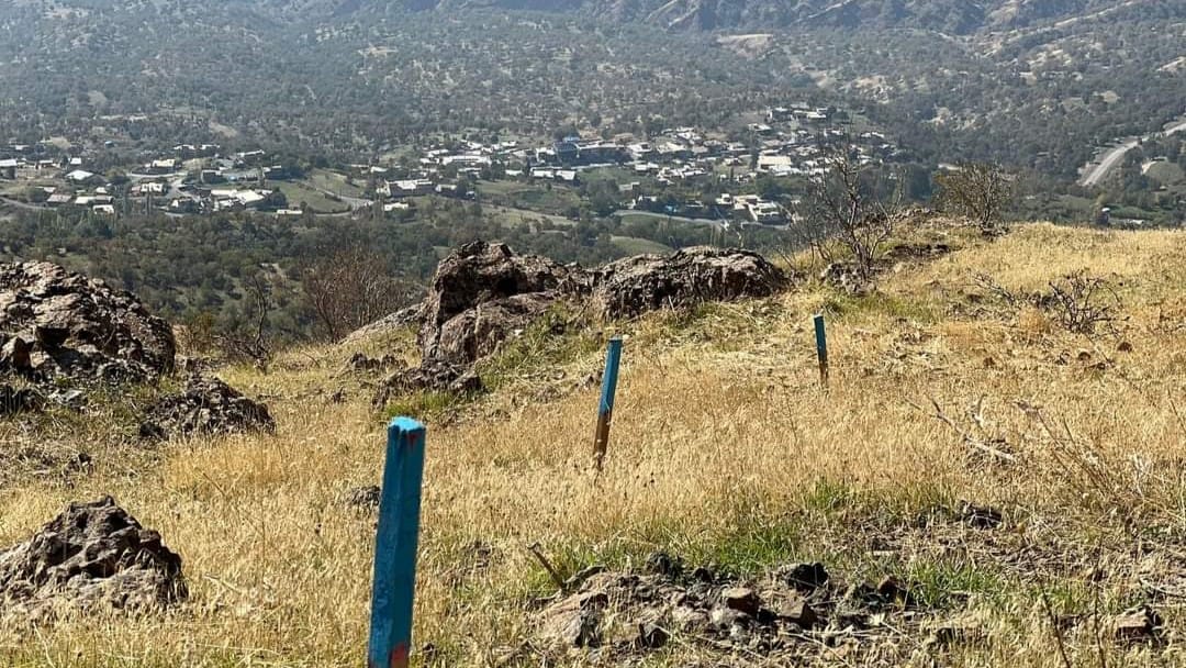 کێڵگەیەکی مینڕێژکراو لە سنووری مێرگەسۆر پاککرایەوە